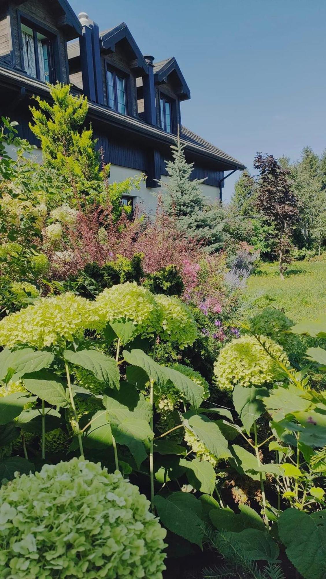Bed and Breakfast Osrodek Bialy Lew Wojciechow  Exterior foto