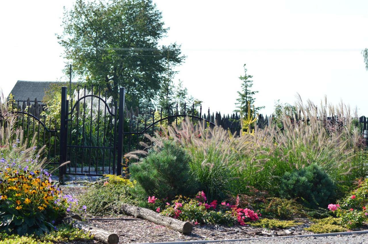 Bed and Breakfast Osrodek Bialy Lew Wojciechow  Exterior foto